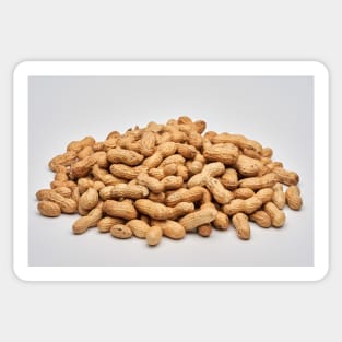 Dried peanuts on white background Sticker